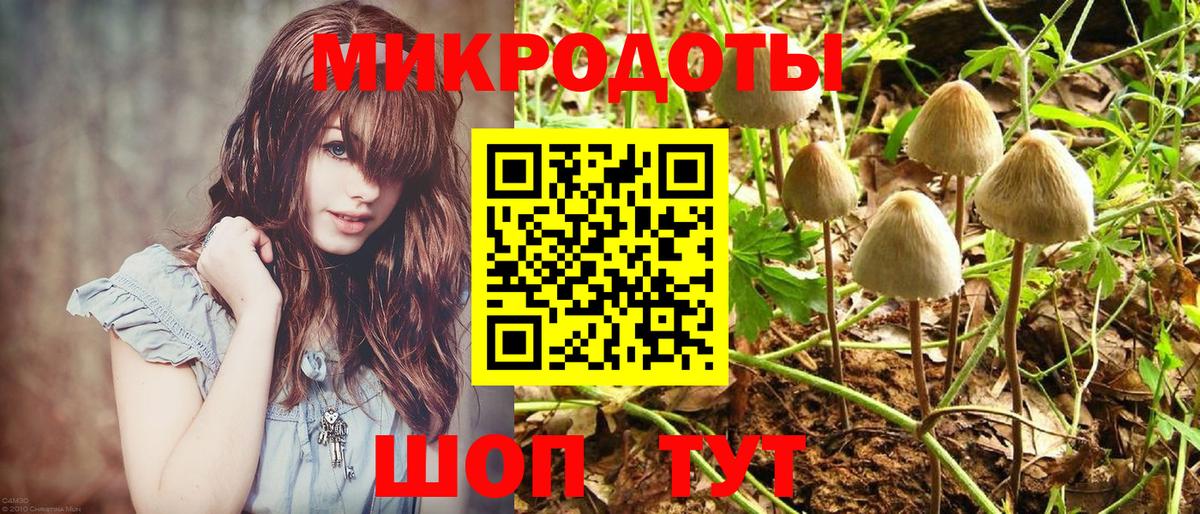 Псилоцибиновые грибы Cubensis  где найти наркотики  Кизилюрт  Вход с VPN  Псилоцибиновые грибы Cubensis 